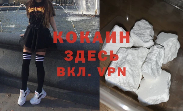 гашик Корсаков