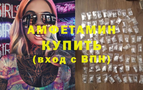 дмт Краснослободск