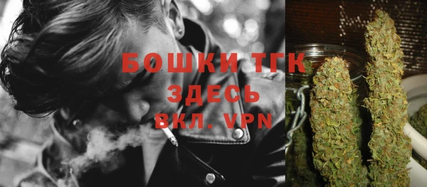 ALPHA PVP Коряжма